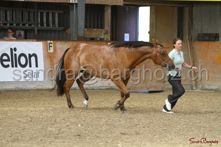 24-ApHC HIH_121.jpg